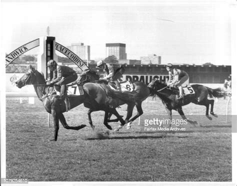 randwick barrier trials today.